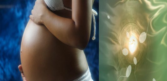 ¿Hay que hacer reposo justo tras el sexo para concebir o es un mito? ¿Hay que hacer reposo justo tras el sexo para concebir o es un mito?