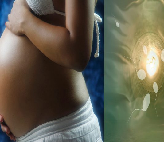 ¿Hay que hacer reposo justo tras el sexo para concebir o es un mito?