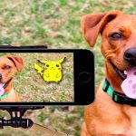 Las 10 cosas más locas ocurridas por jugar a Pokémon Go