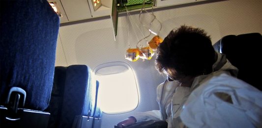 La importancia de ponerse uno 1º la máscara de oxígeno en un avión La importancia de ponerse uno primero la máscara de oxígeno en un avión