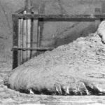 La LETAL Pata de Elefante de Chernóbil