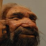 7 cosas de vivir en la prehistoria que no eran como creemos