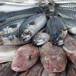 5 síndromes súper raros que puedes sufrir