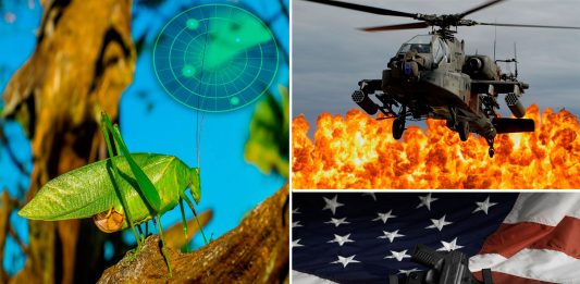 Saltamontes antibombas: Nueva arma del ejército de EE.UU. Saltamontes antibombas: Nueva arma del ejército de EEUU