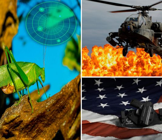 Saltamontes antibombas: Nueva arma del ejército de EEUU