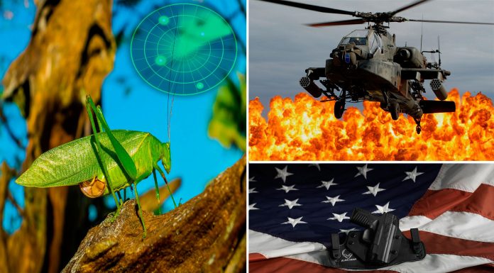 Saltamontes antibombas: Nueva arma del ejército de EEUU