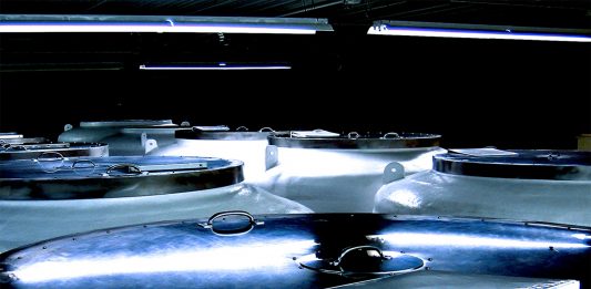 Criogenia: ¿cómo congelan a las personas?