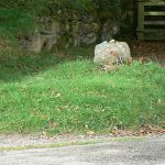 10 tumbas ESCALOFRIANTES del mundo