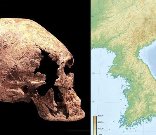 La MISTERIOSA calavera alargada hallada en Corea