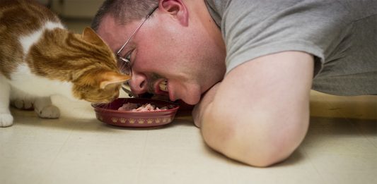 ¿De comer comida para mascotas enfermaríamos?