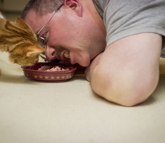 ¿De comer comida para mascotas enfermaríamos?