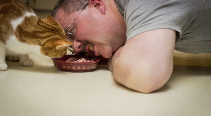 ¿De comer comida para mascotas enfermaríamos?