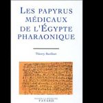 Un trabajo del Antiguo Egipto: Guardián del Ano del Faraón