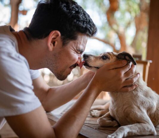 10 mitos sobre los perros | Conoce mejor a los caninos 10 mitos sobre los perros