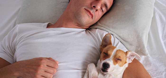 Mitos de dormir con perros