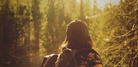 Cómo sobrevivir perdido en un bosque