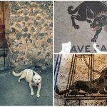 Mejor no ser perro en la antigua Roma