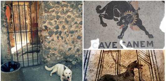 Mejor no ser perro en la antigua Roma