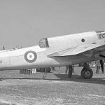 Winkie, la paloma que salvó un avión en la 2ª Guerra Mundial