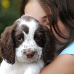 ¿Salvar a un cachorrito o a un niño desconocido? ¿Qué haría la mayoría?