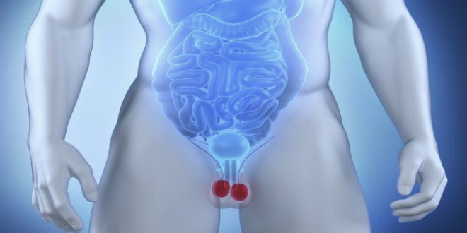 Patadas en los testículos: ¿Por qué nos duelen tanto?