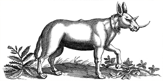 7 criaturas fascinantes de los bestiarios medievales