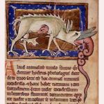 7 criaturas fascinantes de los bestiarios medievales