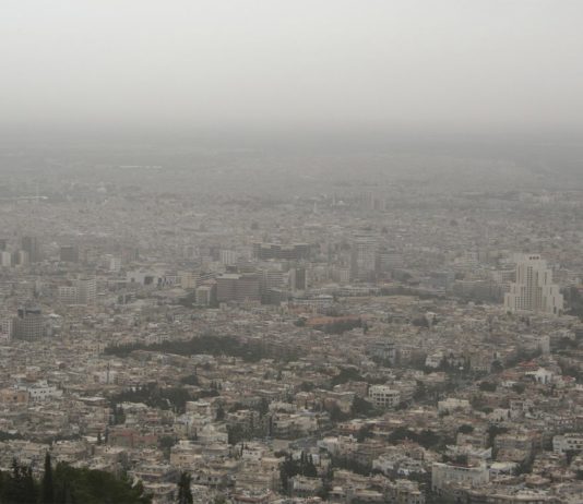 Libros de la guerra: la historia de una biblioteca secreta en Siria