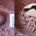 Horrible: encuentran una calavera milenaria cubierta de manos amputadas. ¿Por qué?
