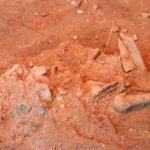 Detalle excavaciones