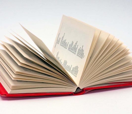 El diccionario de la lengua castellana con nombre de mujer