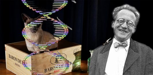 Schrödinger y el ADN, algo más que un gato Schrödinger y el ADN: algo más que un gato