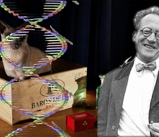 Schrödinger y el ADN: algo más que un gato