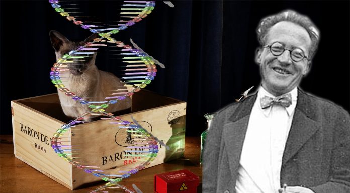 Schrödinger y el ADN: algo más que un gato