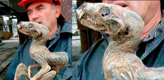 La EXTRAÑA criatura hallada congelada en Siberia