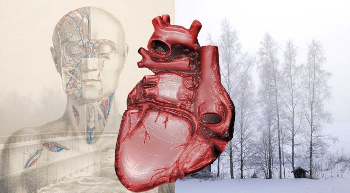 ¿Cómo logró Finlandia reducir las muertes por fallos cardíacos?
