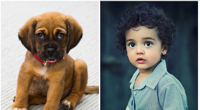 ¿Salvar a un cachorrito o a un niño desconocido? ¿Qué haría la mayoría?