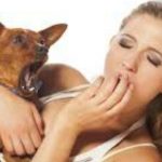 5 costumbres más de los perros que son muy raras