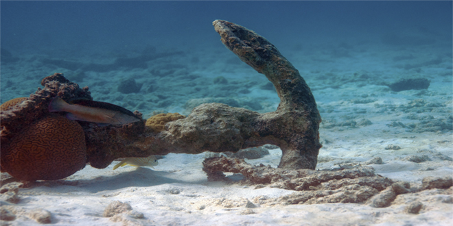 Praderas submarinas del Mediterráneo: la posidonia oceánica, un tesoro que pronto podría desaparecer