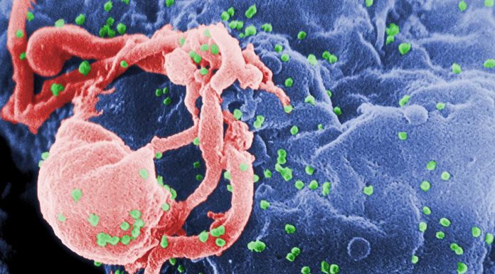 ¿Sabes cuánto hace que existe el VIH? Te horrorizará