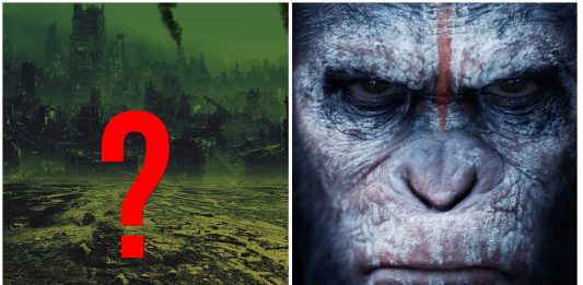 Si el ser humano se extinguiese, ¿cuál sería la especie dominante en la Tierra? Si el ser humano se extinguiese, ¿cuál sería la especie dominante en la Tierra?