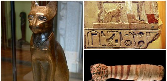 10 curiosidades sobre los gatos y el Antiguo Egipto 10 curiosidades sobre los gatos y el Antiguo Egipto