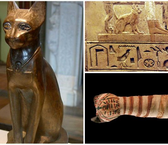 10 curiosidades sobre los gatos y el Antiguo Egipto