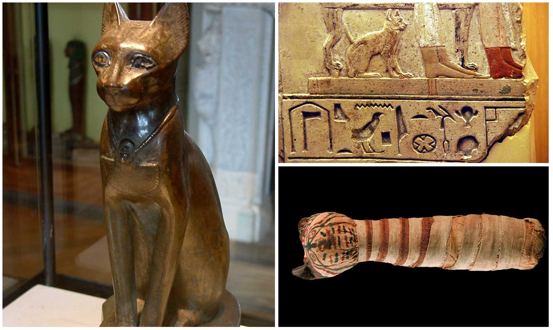 jugar logo sí mismo 10 curiosidades sobre los gatos y el Antiguo Egipto
