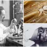 Piojos contra nazis, la historia de Rudolf Weigl