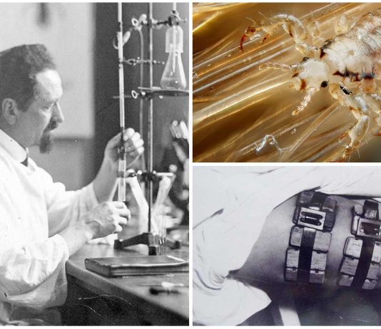 Piojos contra nazis, la historia de Rudolf Weigl Piojos contra nazis, la historia de Rudolf Weigl