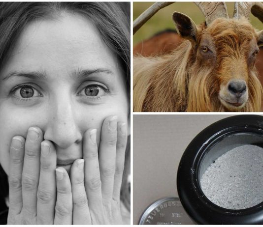 10 cosas curiosas olvidadas en la habitación de un hotel