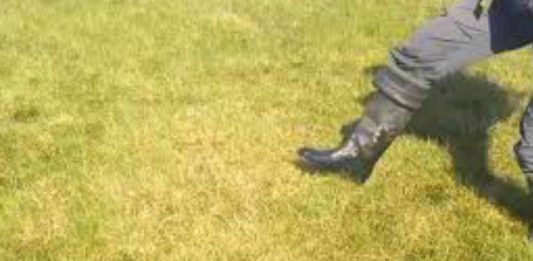 ¿Por qué la tundra rusa está experimentando fenómenos extraños?