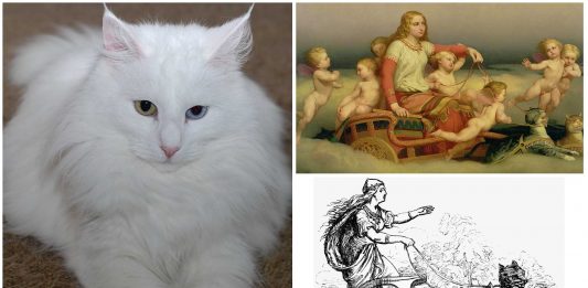 Bygul y Trjegul los gatos que conducían el carro de Freya