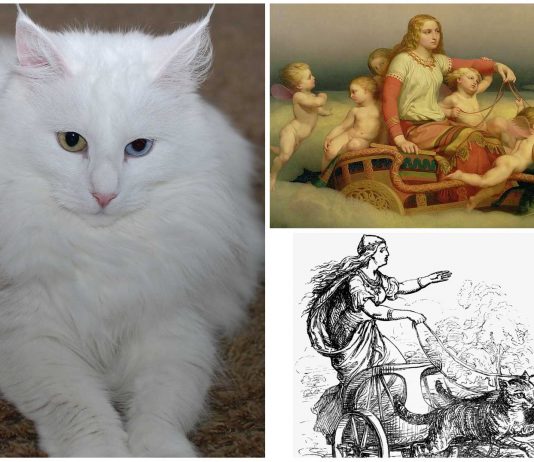 Bygul y Trjegul los gatos que conducían el carro de Freya